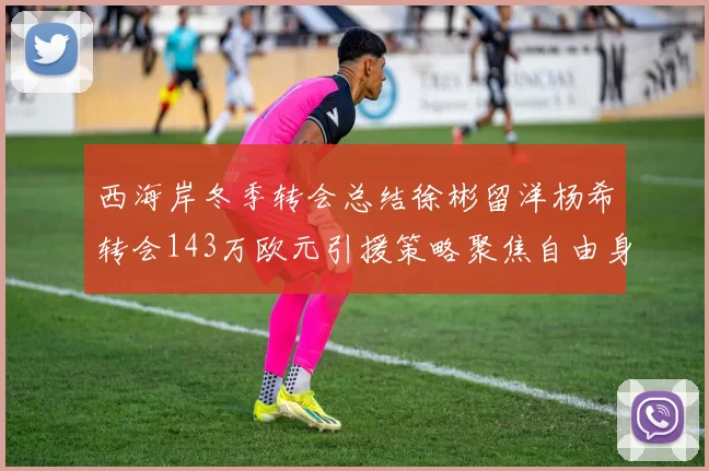 西海岸冬季转会总结徐彬留洋杨希转会143万欧元引援策略聚焦自由身球员