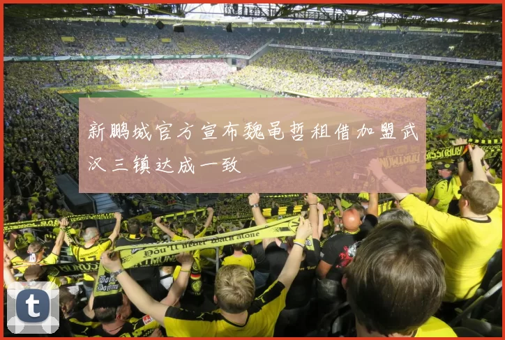 新鹏城官方宣布魏黾哲租借加盟武汉三镇达成一致