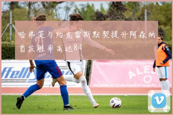 哈弗茨与约克雷斯默契提升阿森纳首发胜率高达84